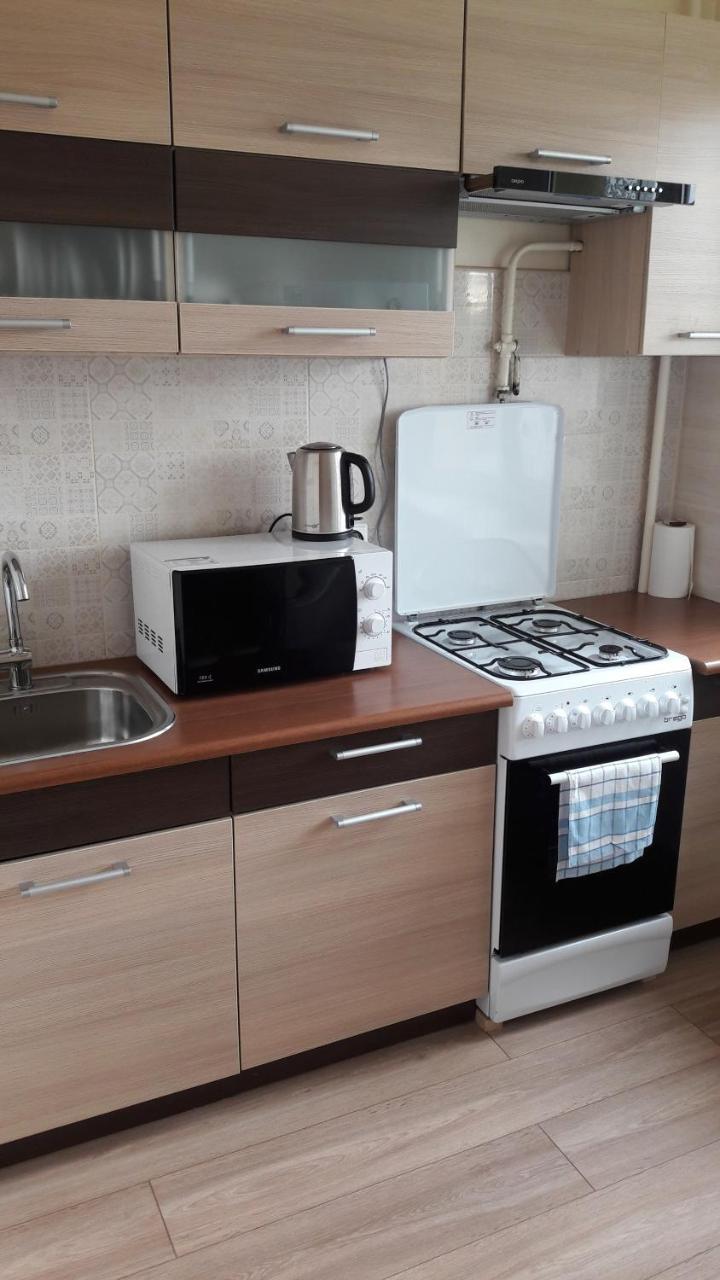 Tulpiu Apartamentai Panevėžys Εξωτερικό φωτογραφία